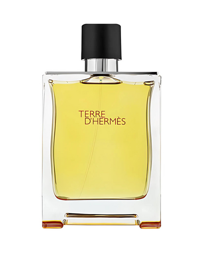 Terre d'Hermès Hermès For Men, 100 ml